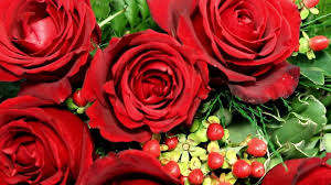 Check spelling or type a new query. Flores Santa Cruz Home Facebook