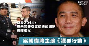 獵狐行動– Fortune Insight