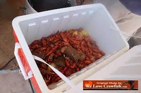 Learn how many pounds can you eat? How To Boil Crawfish Recipe Ingredients Boiling Tips Boiling Procedure Peeling Crawfish