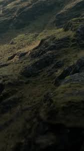 West Cork ‘one of the most beautiful places in the world’, says Adam Scott