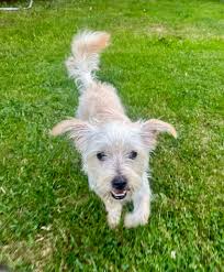 I'm looking to get some local honey. Any sellers in the area?