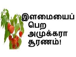 Tamil Tamil Nattu Tamil Nattu Maruthuvam Tamil Siddha Maruthuvam Tamil Natural Medicine Siddha Youtube Natural Medicine Mouth Ulcers Cough Medicine