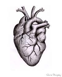 Maybe you would like to learn more about one of these? Anatomically Correct Human Heart By Niku Arbabi Embroidery Anatomical Heart Drawing Heart Drawing Human Heart Drawing