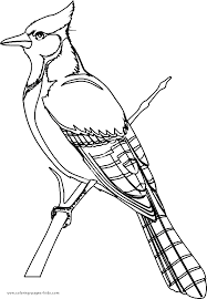 Bird Coloring Pages Bird Coloring Pages Bird Drawings Animal Coloring Pages