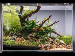 Quality aquascaping substrates can elevate the inital cost of owning a planted aquarium. Non Co2 Aquascape Tutorial How To Set Up An Easy Low Energy Aquascape Youtube
