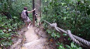 Bukit gasing forest reserve, kuala lumpur bild: Bukit Gasing Kuala Lumpur Backpacking Malaysia