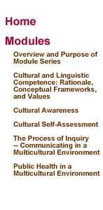 Emerging frameworks and practical approaches. Nccc Curricula Enhancement Module Series