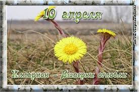 До конца года остаётся 265 дней. Ilarion Vyverni Oglobli Narodnyj Prazdnik Otmechaetsya 10 Aprelya Primety I Poverya Tradicii Zaprety Etogo Dnya