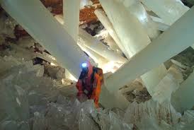 About 45 genera of the plant is capable of growth of 35 inches per day. Slowest Crystal Growth Ever Measured