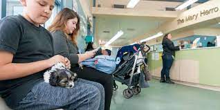At our animal hospital, our dedicated staff is here and ready to discuss your pet's condition with you so you can make wise choices about your pet's health. High Quality Low Cost Vet Clinic The Animal Foundation