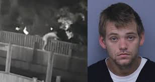 Florida Man: 11 Of The Most Outrageous News Stories From 2018