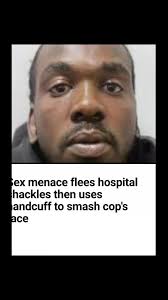 Judge Daniel Flahive Croydon Crown Court