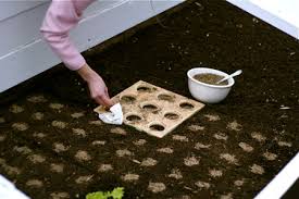 Check spelling or type a new query. Square Foot Gardening Templates Chiot S Run