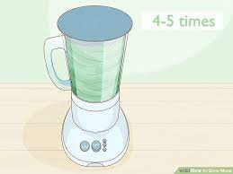 how to grow moss 13 steps with pictures wikihow life growing moss moss garden moss plant