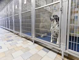 Kennels Dog Kennel Flooring Indoor Dog Kennel Dog Kennel Outdoor