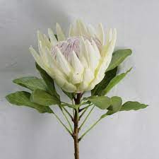 Artificial King Protea Flower 73cm White Item No S6607wh Australian Native Flowers Protea Flower Fake Flowers