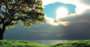 Pin On Wp Landscape Nature Hd 1080p Nature Backgrounds Pixelstalk Net Hd Nature Wallpapers Nature Desktop Wallpaper Hd Nature Wallpapers 3d Nature Wallpaper