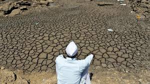 Word collect starts as an easy word game and gets harder as you level up! Chandrakant Patil Claims Collectors Under Mcc Spell Not Providing Drought Aid