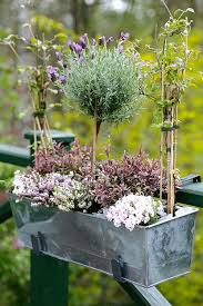 Isabelle Palmer The Balcony Gardener Balcony Garden Balcony Herb Gardens Herb Garden Design