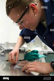 Air force postgraduate dental school hi-res stock photography and images