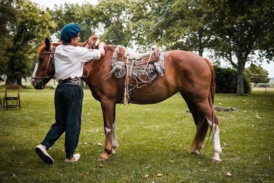 Gaucho Day Tour Ranch at an Estancia from Buenos Aires - Viator