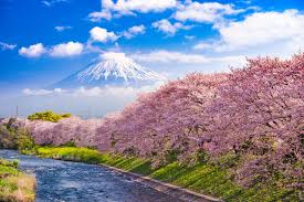 How To Spend Two Weeks In Japan An Itinerary For First Time Visitors Never Ending Footsteps