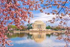 Mar 30, 2021 · dedicated by president franklin delano roosevelt on april 13, 1943, the thomas jefferson memorial stands in a straight line with the white house. Jefferson Memorial Monument Washington District Of Columbia United States Britannica