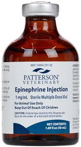 Image result for Epinephrine