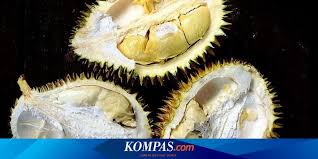Berikut adalah cara menghilangkan bau sepatu dengan teh hitam: Mau Tahu Tips Hilangkan Aroma Durian Pejamkan Mata