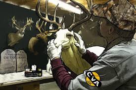 Skinning alone would require you to pay $22 minimum. 10 Commandments Of Taxidermy When Prepping Deer For The Taxidermist Deer Hunting Realtree Camo