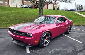 Image result for Furious Fuchsia 2010 Challenger