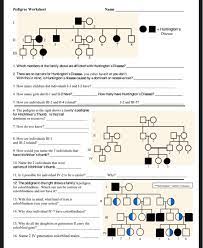 Biology genetics pedigree worksheet answer key. Name Genetics Pedigree Worksheet A Pedigree Is A Chegg Com