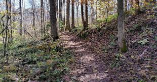 See all of the top races, featuring names like brad keselowski, martin truex jr., kurt busch, joey logano, kyle bush, kevin. Whiskey Tango Foxtrot Trail Half Marathon