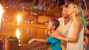 Image result for Oldenlandia verrucitesta