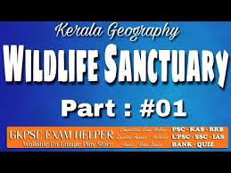 Wildlife Sanctuary Kerala Previous Question Answer Kerala Psc Coaching Class Malayalam Youtube The idukki wildlife sanctuary, kerala is covered with forests of teak, marshes, bamboo and other grasslands. wildlife sanctuary kerala previous question answer kerala psc coaching class malayalam
