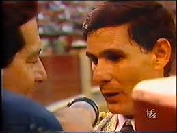 Divertido" n°12. Toro de Hdros. de D. José Luis Osborne.