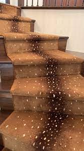 Animal Pattern Stair Runner Stair Runner Carpet Stairs Stairs