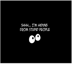 Funny Wallpaper Funny Quotes Friendship Quotes Funny Stupid People
