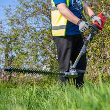 These might be more expensive, while spike this is important when choosing a lawn aerator. Einhell 900w Long Reach Electric Hedge Trimmer 230v