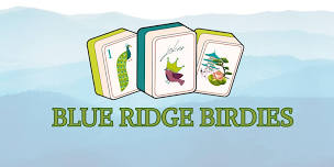 Mahjong with the Blue Ridge Birdies: Basics 101