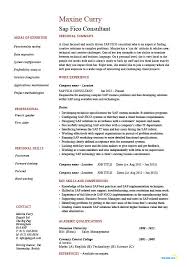 sap fico consultant resume, technology