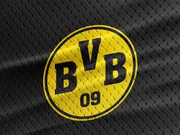 Sport logo png download 696 370 free transparent. Bvb Designs Themes Templates And Downloadable Graphic Elements On Dribbble