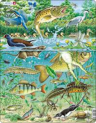 Previous research (including mine) showed many factors affecting employee creativity (and hence innovati. Dementia Jigsaw Puzzle Pond Life 50 Pieces Dementia Jigsaw Puzzles Pond Drawing Underwater Drawing Pond Life