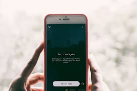 Novidades exclusivas no site mais atualizado sobre free fire 33 Instagram Story Ideas For Business Best Insta Story Trends 2020