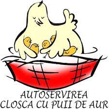 Gainusa cu oua de aur. Facebook