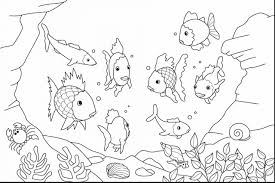 Ocean Life Coloring Pages Detailed Pictures Of Boy Preschool Coloring Home