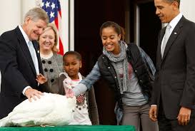 Bo obama adorns white house christmas card | people.com. A Look Back At The Obama White House Christmas Cards Through The Years Teen Vogue