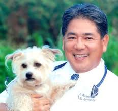 We are competitively priced and available for urgent care and. Veterinary Doctor Honolulu Hi King Street Pet Hospital