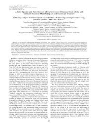 Image result for Cyphostemma kirkianum