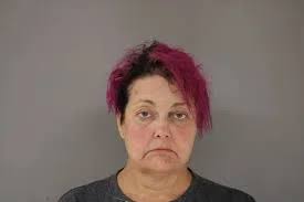 Woman arrested after pursuit near Fergus Falls